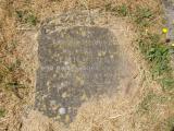 image of grave number 737160